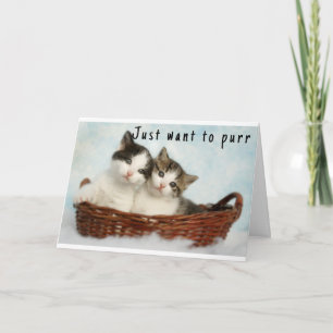 "SWEET KITTENS" HAPPY BIRTHDAY KAART
