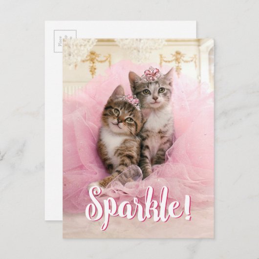 Sweet Kittens in Tiaras en Roze Sparkly Tutu Briefkaart (Voorkant / Achterkant)