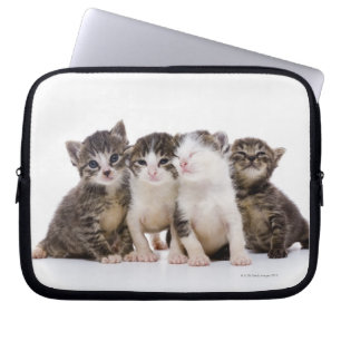 Sweet Kittens Laptop Sleeve