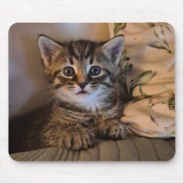 Sweet kitty muismat