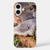 Sweet kleine koala Case-Mate iPhone case (Achterkant)