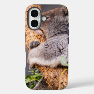 Sweet kleine koala iPhone 16 hoesje