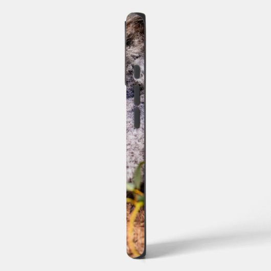 Sweet kleine koala Case-Mate iPhone case (Achterkant / Links)