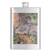 Sweet kleine koala flacon (Voorkant)