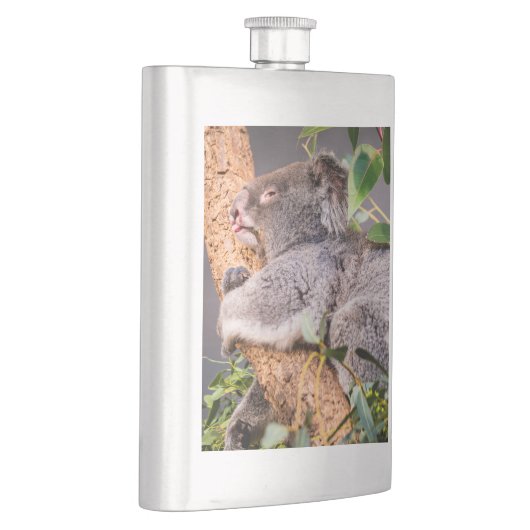 Sweet kleine koala flacon (Rechts)