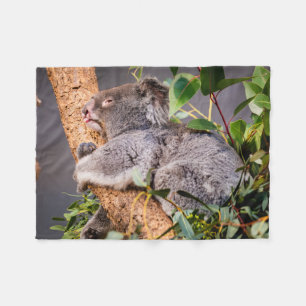 Sweet kleine koala fleece deken