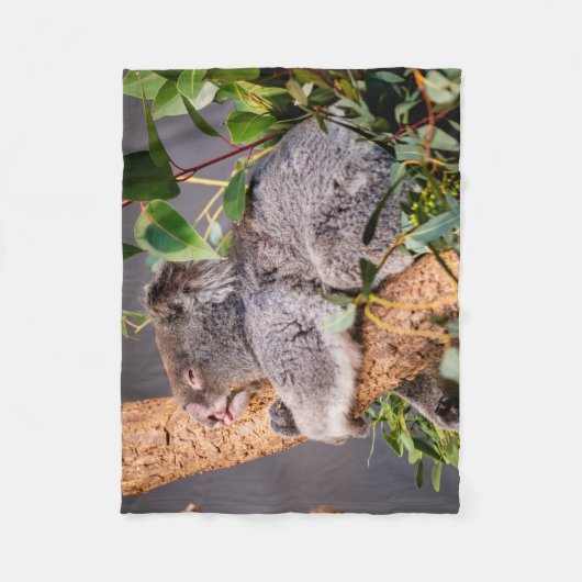 Sweet kleine koala fleece deken (Voorkant)
