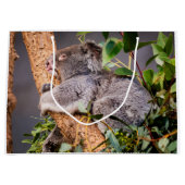 Sweet kleine koala groot cadeauzakje (Voorkant)