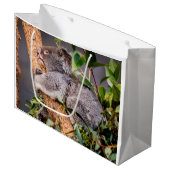 Sweet kleine koala groot cadeauzakje (Voorkant Gekanteld)