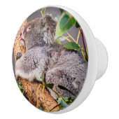 Sweet kleine koala keramische knop (Rechts)