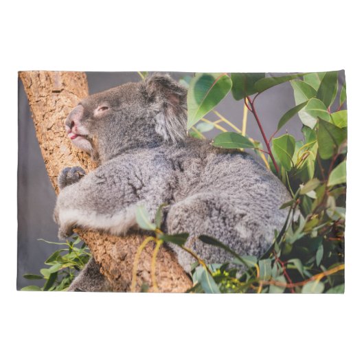 Sweet kleine koala kussensloop (Achterkant)