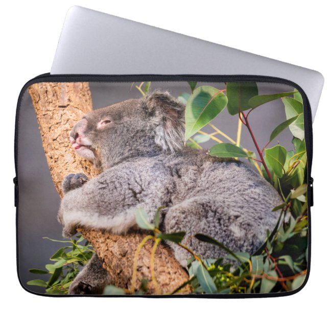 Sweet kleine koala laptop sleeve (Voorkant)