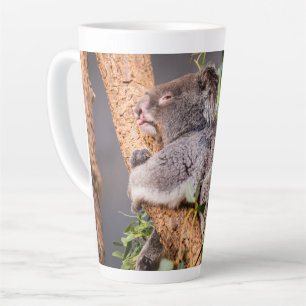 Sweet kleine koala latte mok