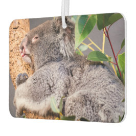 Sweet kleine koala luchtverfrisser