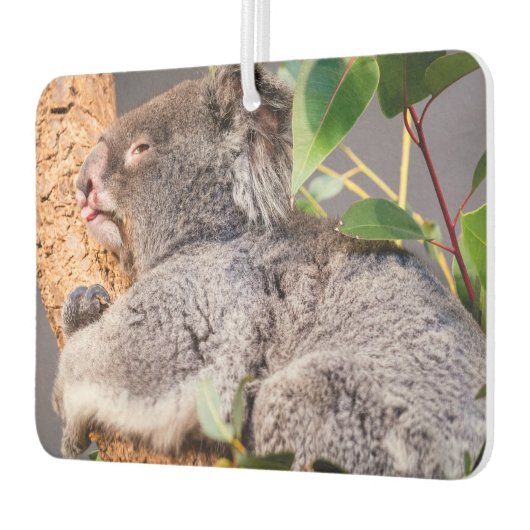Sweet kleine koala luchtverfrisser (Links)