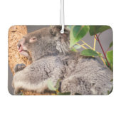 Sweet kleine koala luchtverfrisser (Voorkant)
