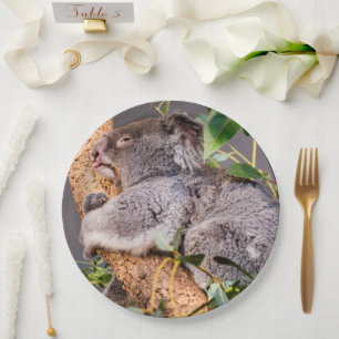 Sweet kleine koala papieren bordje