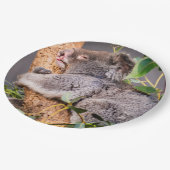 Sweet kleine koala papieren bordje (Gekanteld)