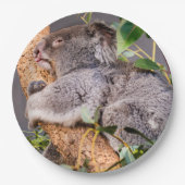 Sweet kleine koala papieren bordje (Voorkant)