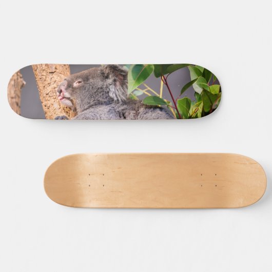 Sweet kleine koala persoonlijk skateboard (Horizontaal)