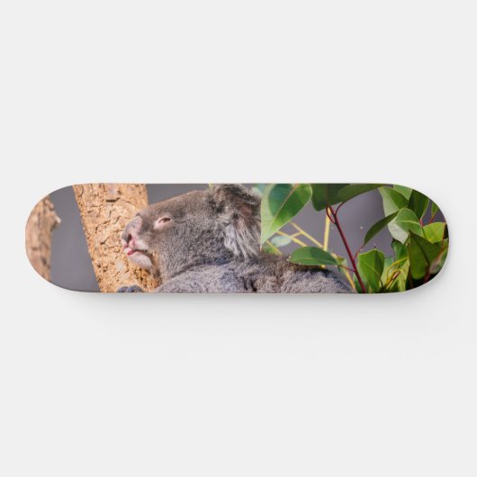 Sweet kleine koala persoonlijk skateboard (Horizontaal)
