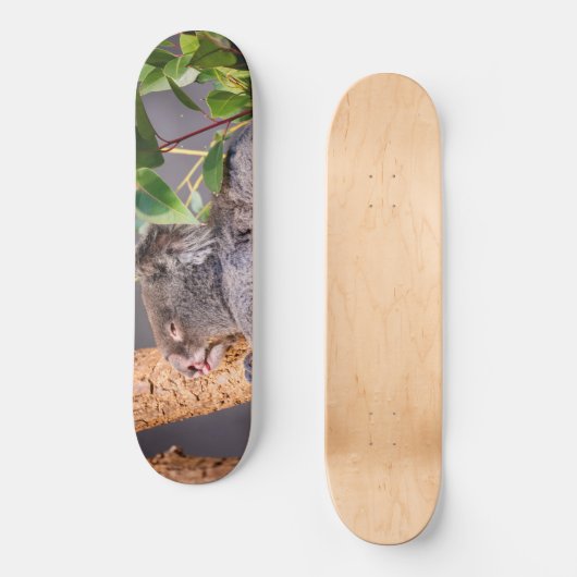 Sweet kleine koala persoonlijk skateboard (Voorkant)