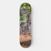 Sweet kleine koala persoonlijk skateboard (Voorkant)