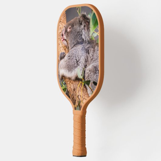 Sweet kleine koala pickleball paddle (Links)
