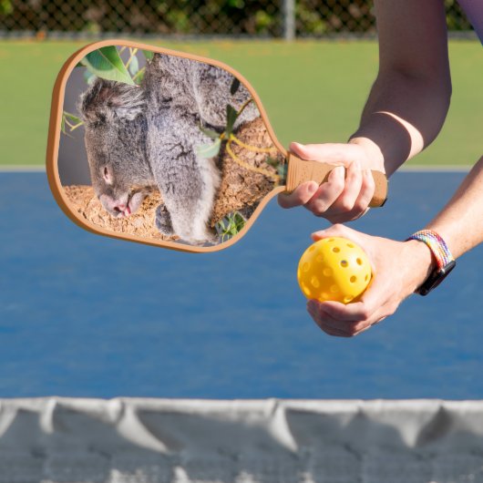 Sweet kleine koala pickleball paddle (Insitu)