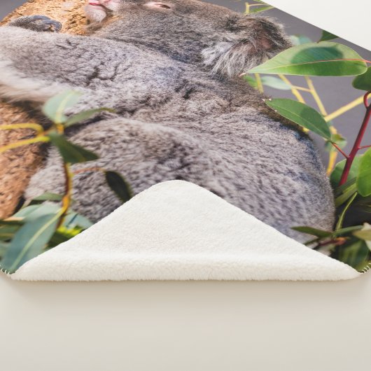 Sweet kleine koala sherpa deken (3/4)