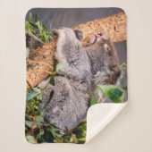 Sweet kleine koala sherpa deken (Voorkant)
