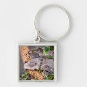 Sweet kleine koala sleutelhanger (Voorkant)