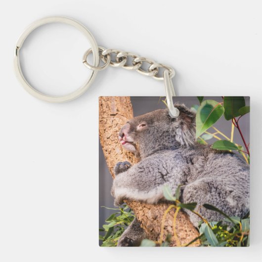 Sweet kleine koala sleutelhanger (Voorkant)