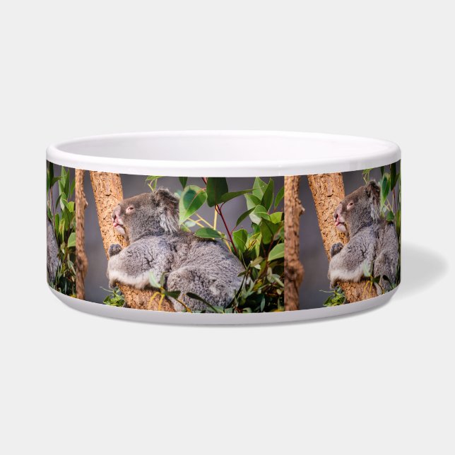 Sweet kleine koala voerbakje (Rechts)