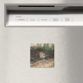 Sweet kleine robijn magneet (Insitu (Vaatwasser))
