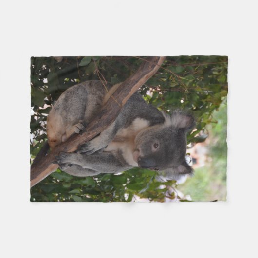 Sweet Koala Beer Fleece Blanket (Voorkant (Horizontaal))