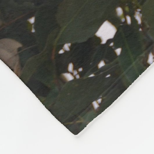 Sweet Koala Beer Fleece Blanket (Hoek)