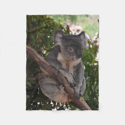 Sweet Koala Beer Fleece Blanket (Voorkant)