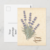 Sweet Lavender-Briefkaart aanpassen Briefkaart (Voorkant / Achterkant)