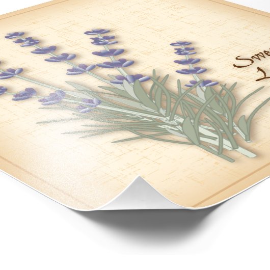 Sweet Lavender Foto afdrukken (Hoek)