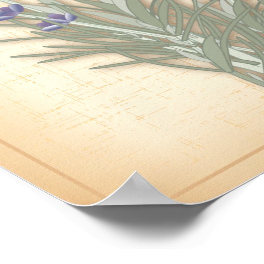 Sweet Lavender Poster (Hoek)