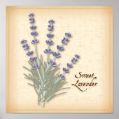Sweet Lavender Poster (Voorkant)