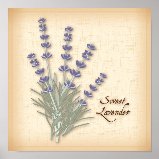 Sweet Lavender Poster (Voorkant)