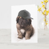 Sweet Leonberger dog puppy with a cap Kaart (Gele Bloem)