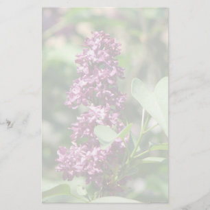 Sweet Lila Briefpapier