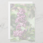 Sweet Lila Briefpapier (Voorkant / Achterkant)