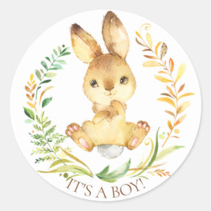 Sweet Little Bunny Het is een Boy Favor Sticker