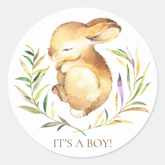 Sweet Little Bunny Het is een Boy Favor Sticker (Voorkant)