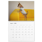 Sweet Little Chihuahua 2023 Kalender (Mar 2026)