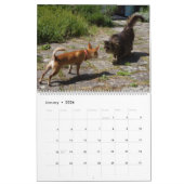 Sweet Little Chihuahua 2023 Kalender (Jan 2026)